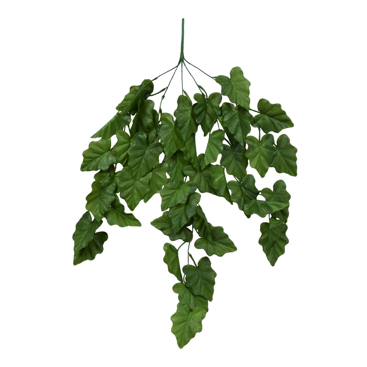 Alokasia – tekoköynnös, 78 cm