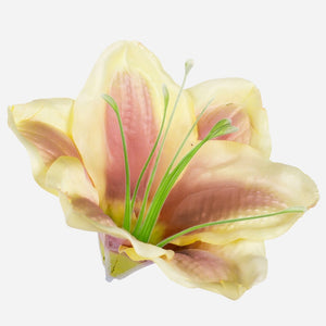 Lt. Keltainen/violetti