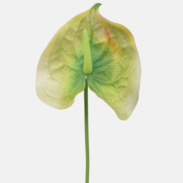 Kumitettu anthurium Vihreä - Tekokukat.fi