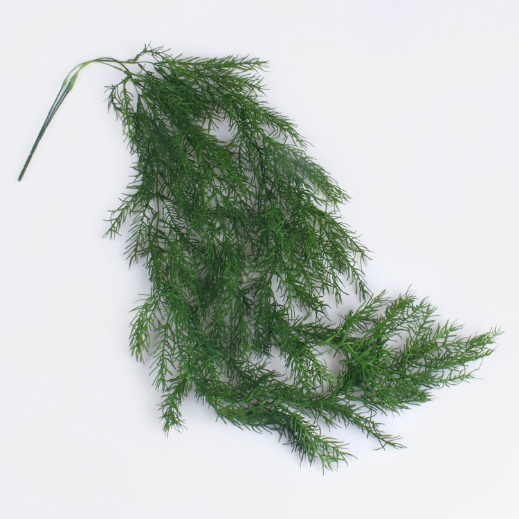 Jäljellä oleva parsa geen - Tekokukat.fi