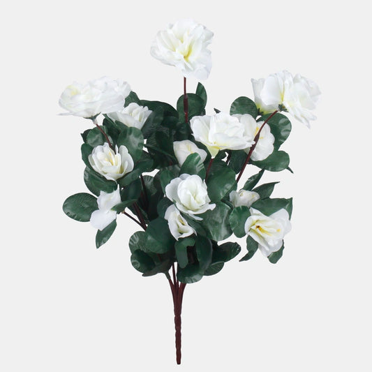 Azalia oksa - Koristeoksa