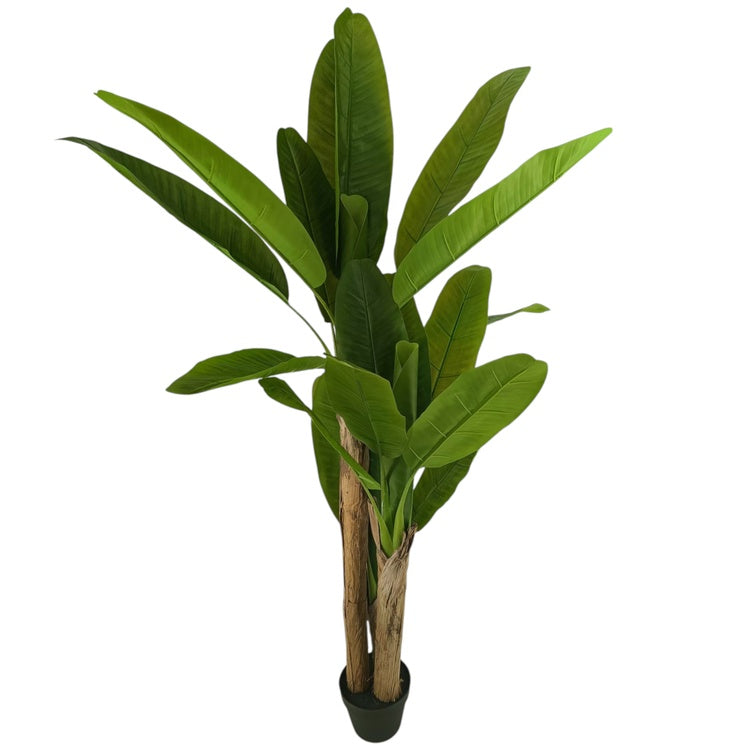 Banaanipuu 1,5 m Vihreä - Tekokukat.fi