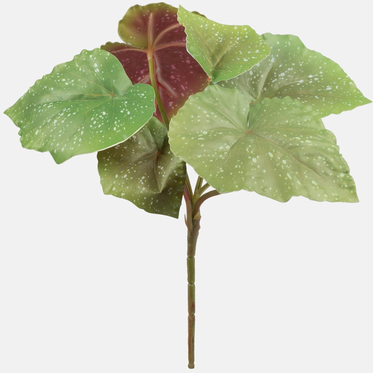 Begonia Vihreä - Tekokukat.fi