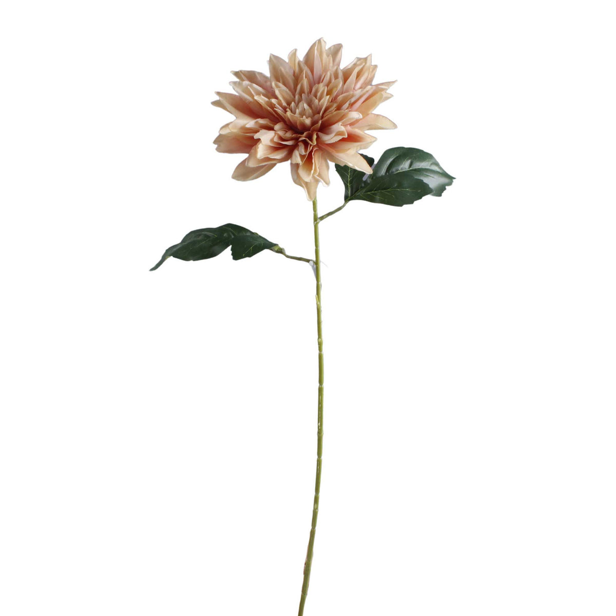 Beige tekodaalian kukkavarsi, 67 cm