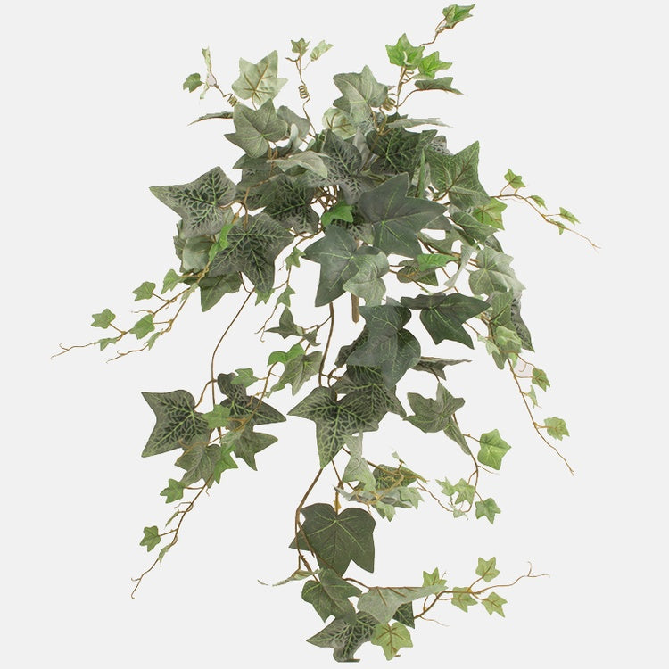 Hedera helix, sammalmainen Vihreä - Tekokukat.fi