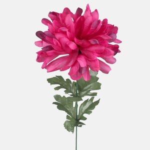 Violetti/violetti kosketus