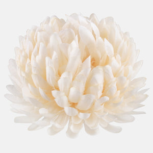 Luutnantti Keltainen