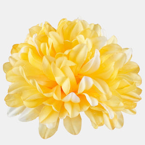 Keltainen/valkoinen kosketus