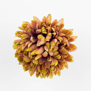 Ruskea / Lt. Vihreä reuna