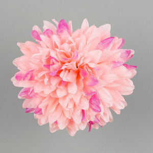 Lt. Pink/Purple Edge