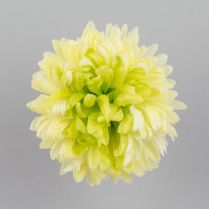 Keltainen/Lutn. Vihreä