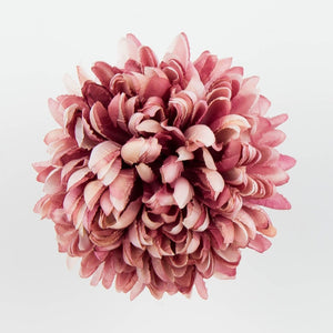 Syksyinen vaaleanpunainen