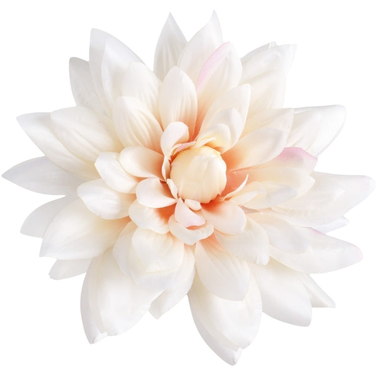 Satin Dahlia XL Kermanvärinen/vaaleanpunainen reuna - Tekokukat.fi