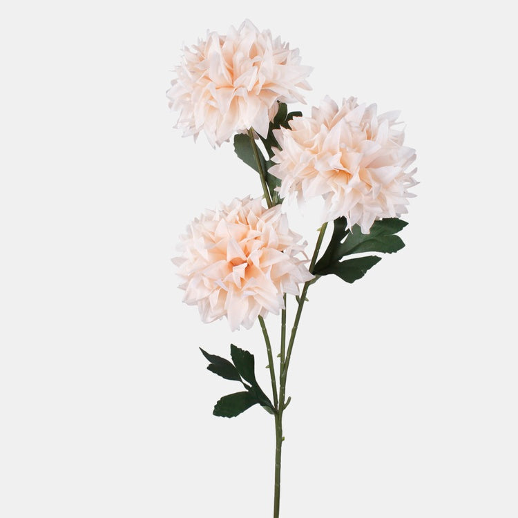Dahlia tekokukka persikka