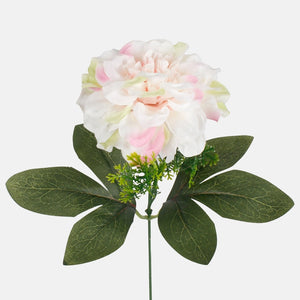 Kermanvärinen/vaaleanvihreä/vaaleanpunainen reuna