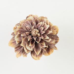 Ruskea/syksyn keltainen