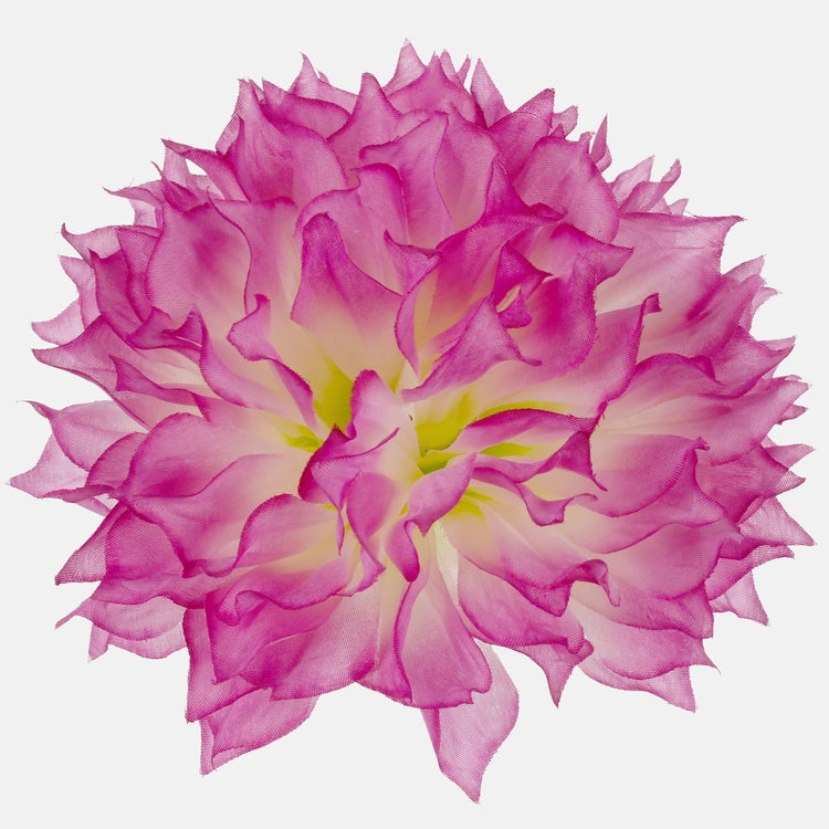 Dahlia Lt. Purple/Purple Edge - Tekokukat.fi