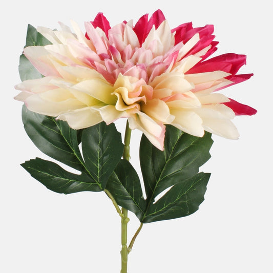 Dahlia tekokukka kerma/mauve - Tekokukat.fi