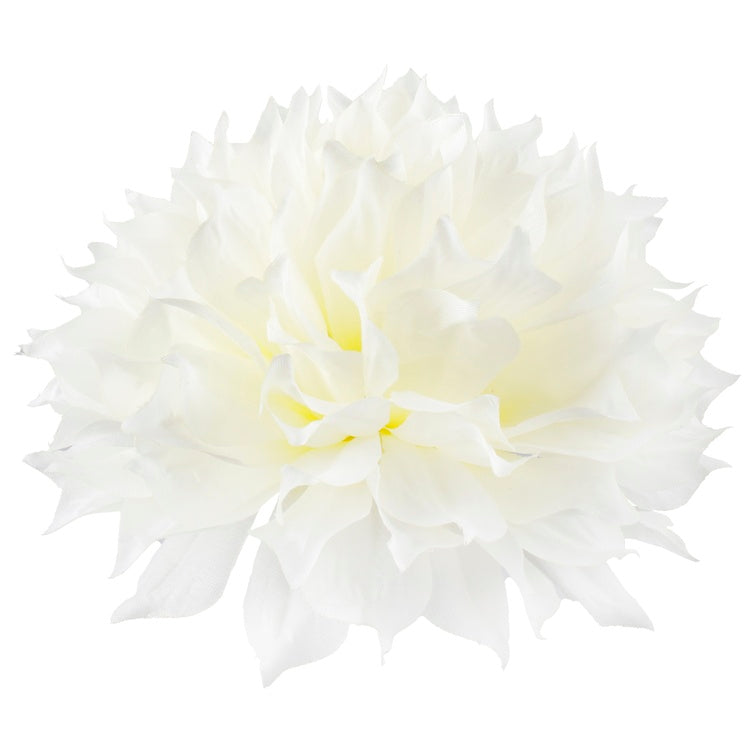 Dahlia T.T. Kerma - Tekokukat.fi