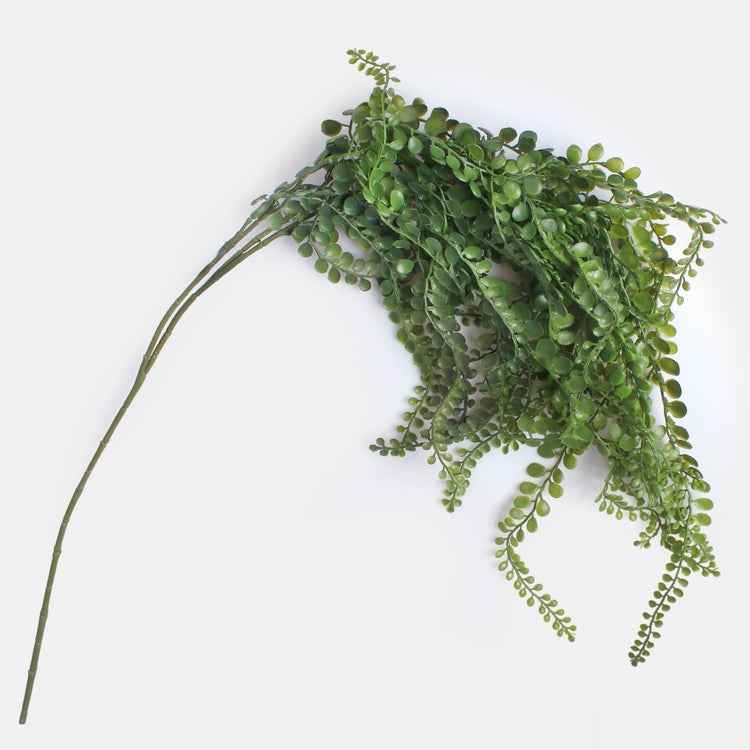 Dischidia Vihreä - Tekokukat.fi