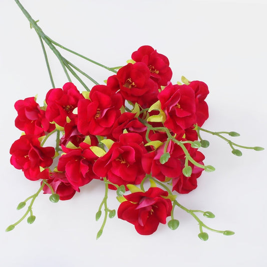 Rosa canina, sametti tekokukka puhdas punainen