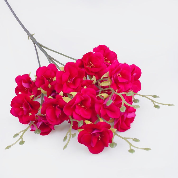 Rosa canina, sametti tekokukka kauneus - Tekokukat.fi