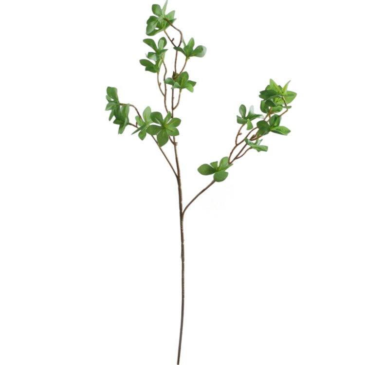 Enkianthus Vihreä - Tekokukat.fi