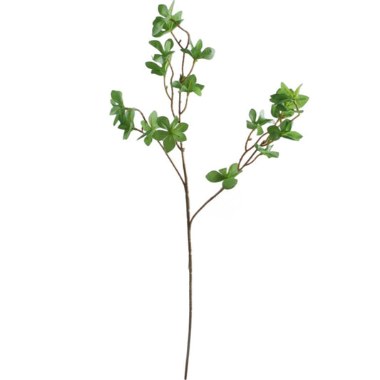 Enkianthus Vihreä - Tekokukat.fi