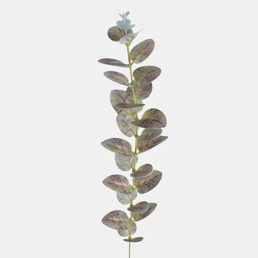 Eukalyptuksen oksa t.t. gray - Tekokukat.fi