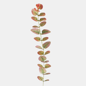 Burgundy/T.T. Vihreä