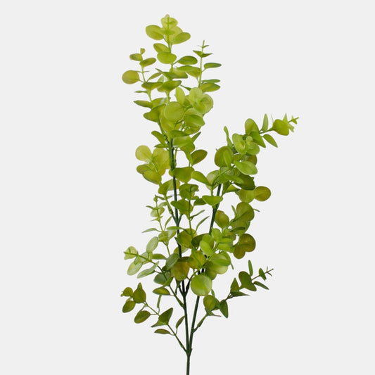 Eukalyptus vaaleanvihreä - Tekokukat.fi