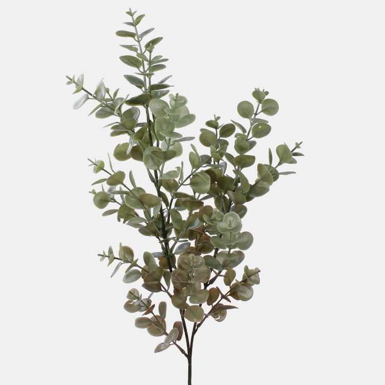 Eukalyptus pakkasvihreä - Tekokukat.fi