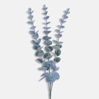 Eukalyptus 
sininen/vihreä