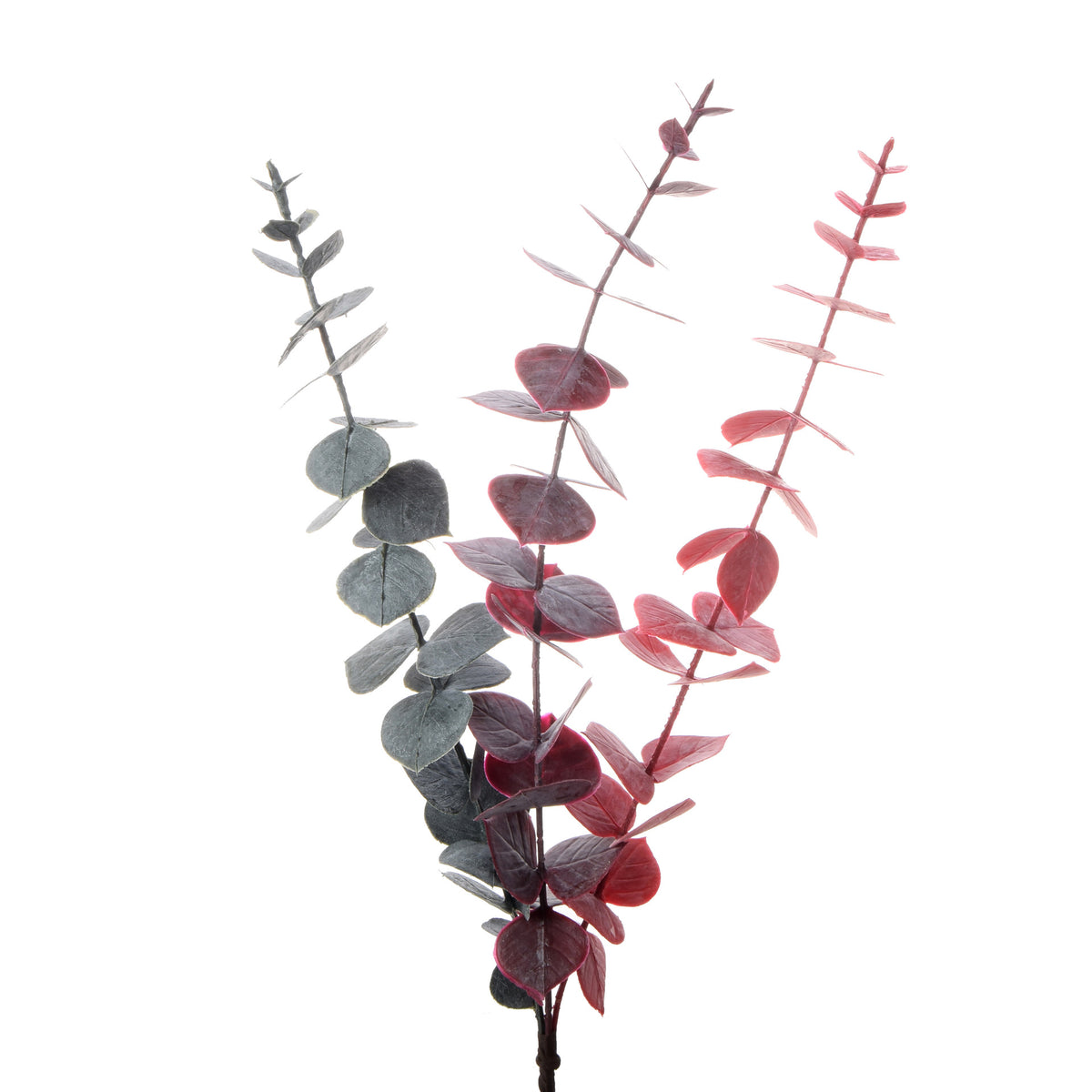 Eukalyptus – koristeoksa, 44 cm