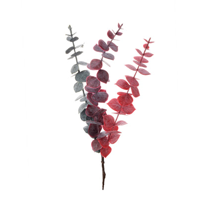 Eukalyptus – koristeoksa, 44 cm