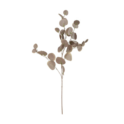Eukalyptus – koristeoksa, 85 cm