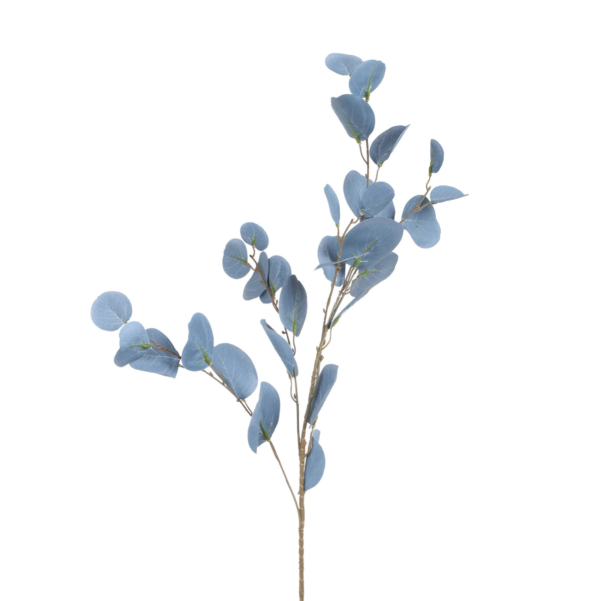 Eukalyptus – koristeoksa, 85 cm