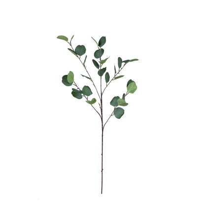 Eukalyptus – koristeoksa, 90 cm