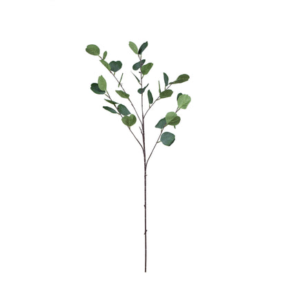 Eukalyptus – koristeoksa, 90 cm