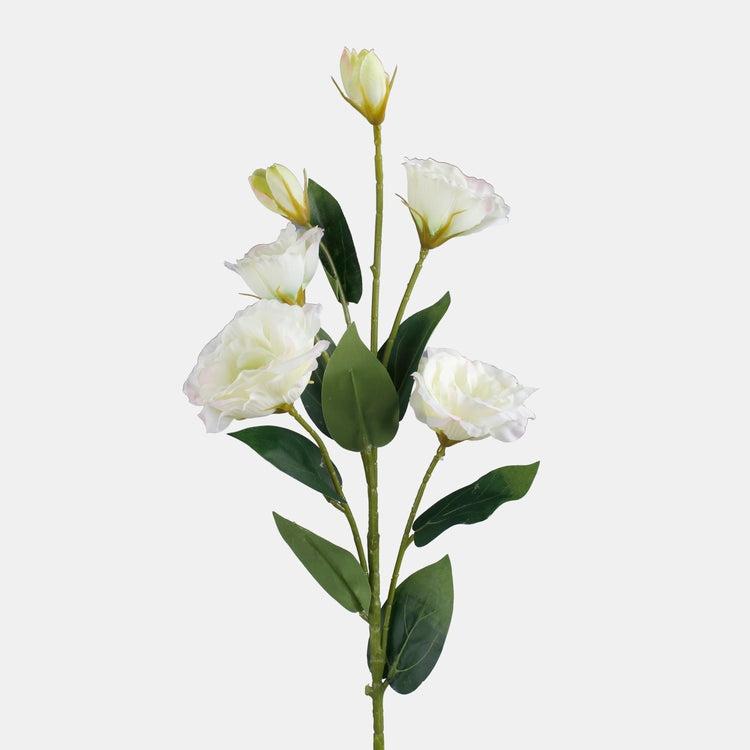 Lisianthus tekokukka kerma - Tekokukat.fi