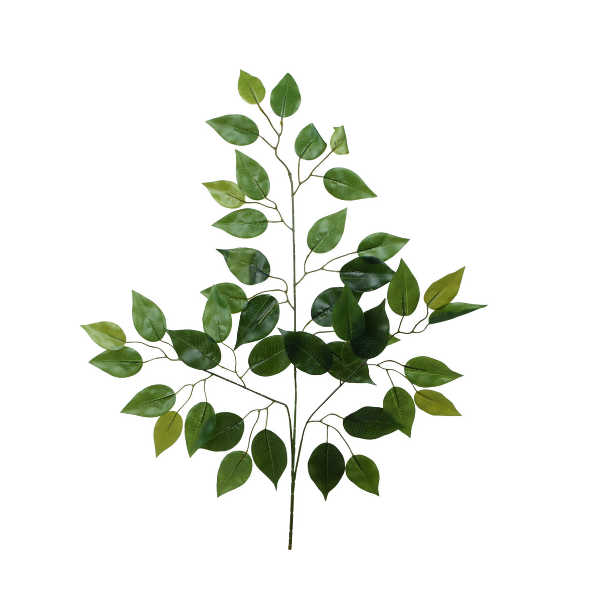 Fiikus – koristeoksa, kumipinta, 66 cm