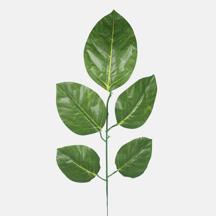 Ficus vihreä - Tekokukat.fi