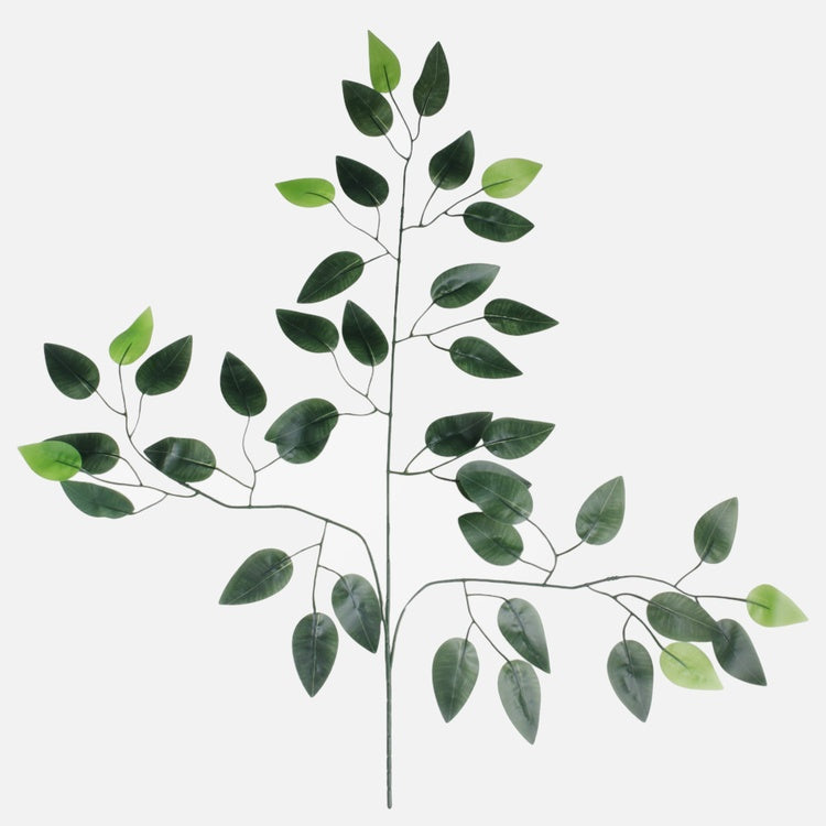 Ficus Benjamina x 3 T.T. Vihreä - Tekokukat.fi