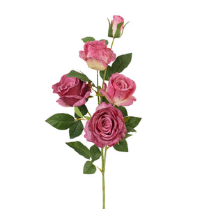 Fuksia
