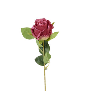 Fuksia
