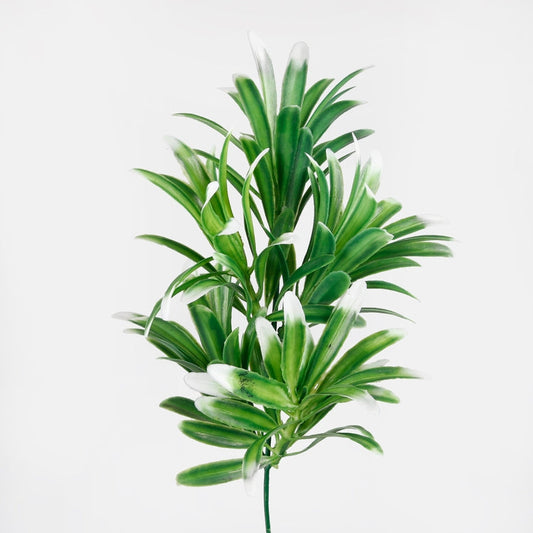 Dracaena oksa vihreä/valkoinen - Tekokukat.fi