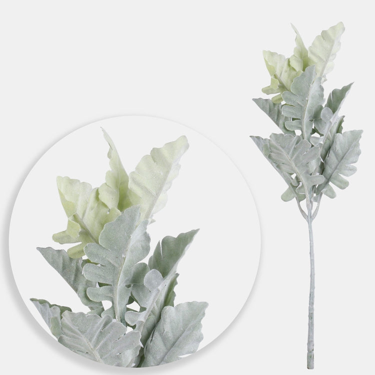 Senecio cineraria vihreä - Tekokukat.fi