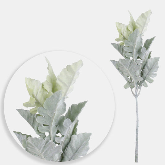 Senecio cineraria vihreä - Tekokukat.fi