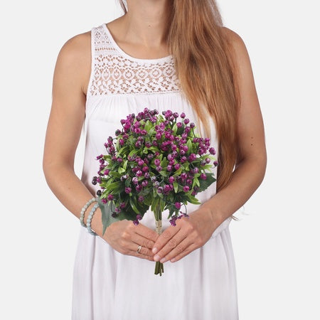 Gypsophila-kimppu tekokukkakimppu violetti