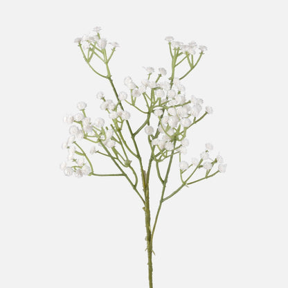 Gypsophila tekokukka valkoinen